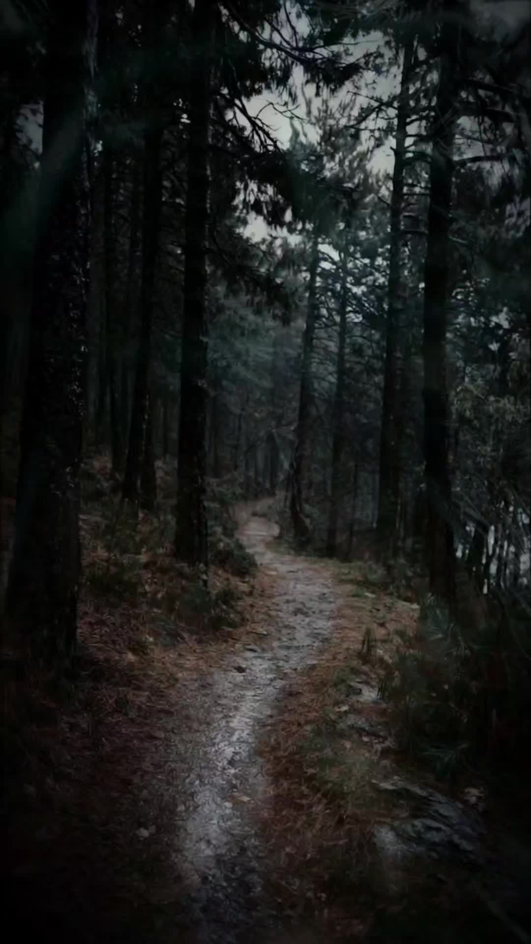 @Llamado del Cielo