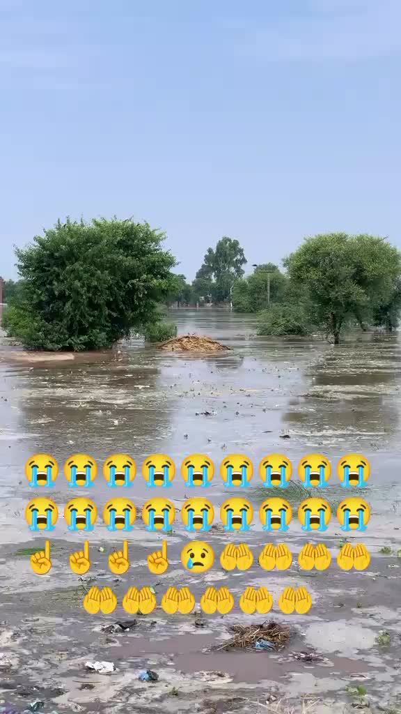 @Sabar Ali