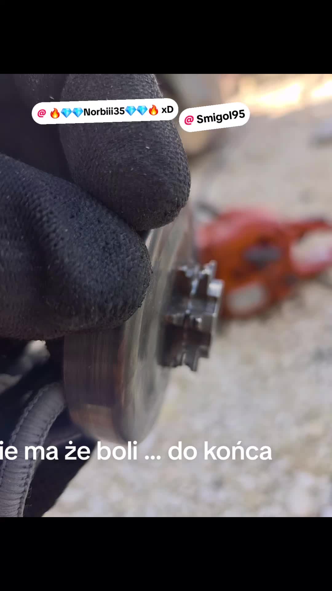 @seszunia