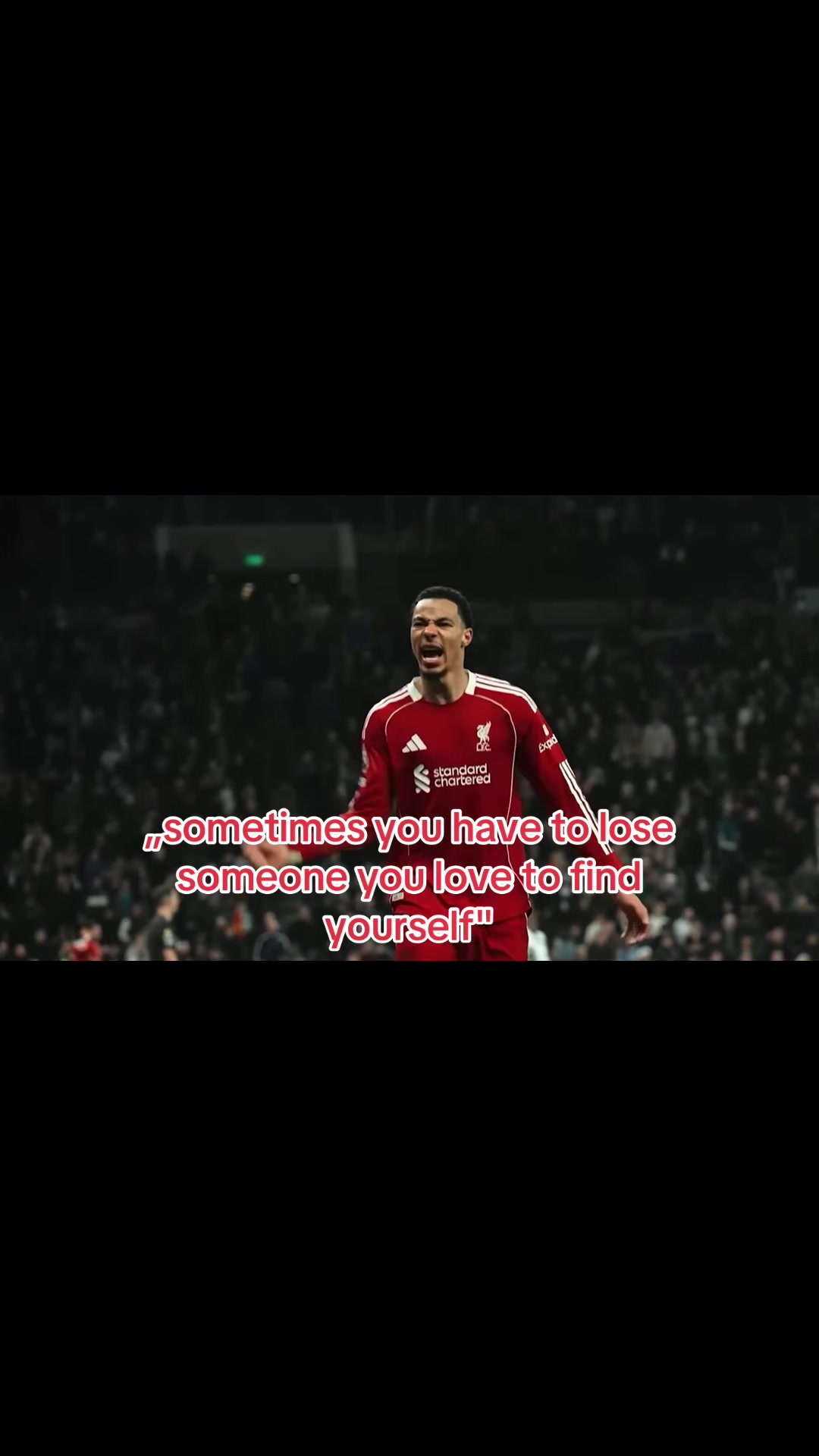@MSJ.Edit