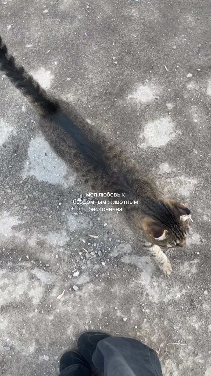 @владуня🤷🏻