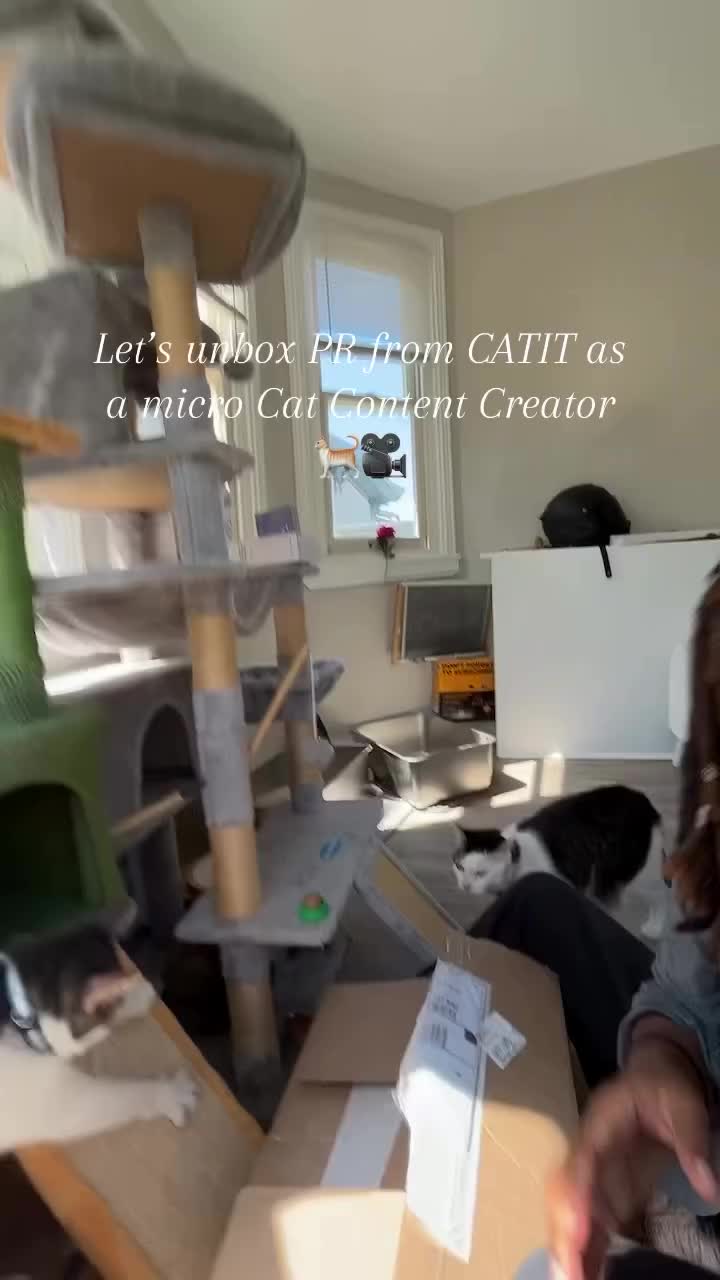 @TheCommonKitties 🐾