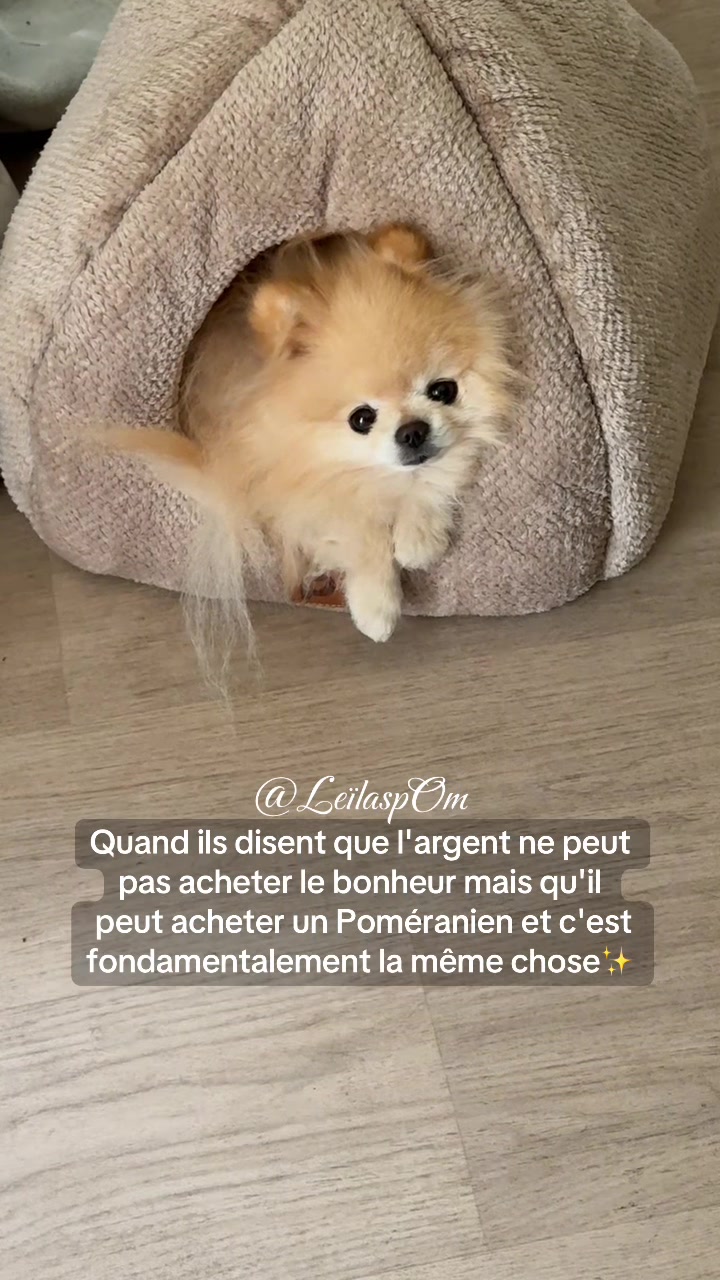 @🎀Leïla’spOm🎀