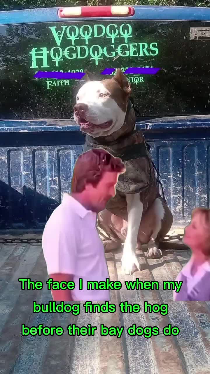 @SCKVoodooHogDoggers