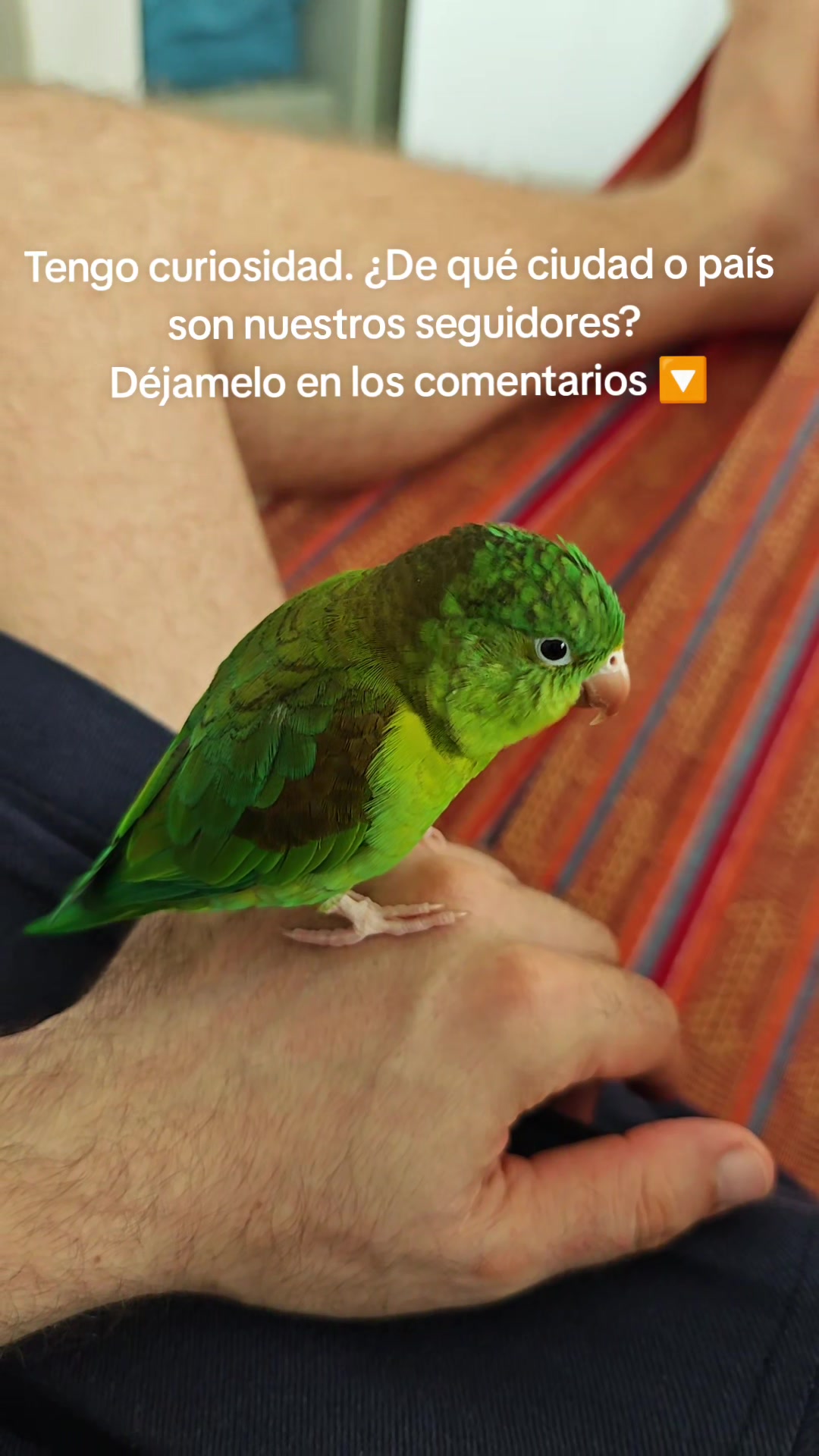 @Pohli