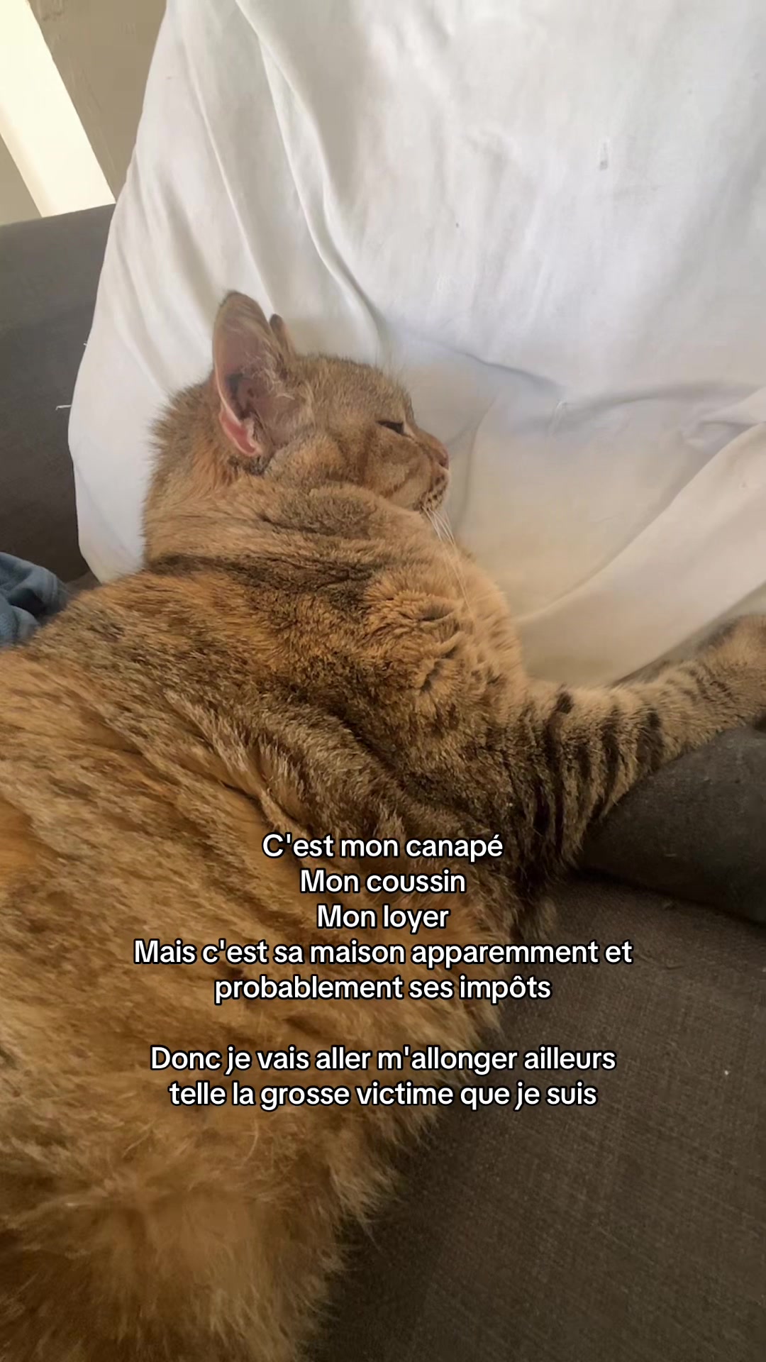@lapetiteclem