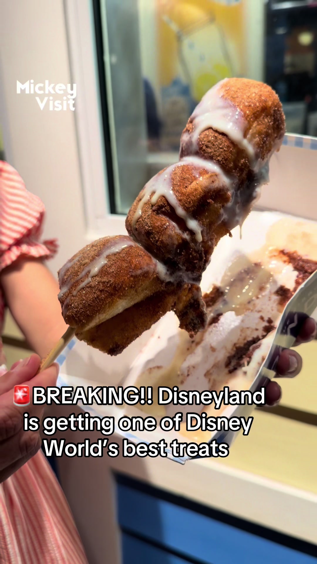 @Mickey Visit: Disney Guide!