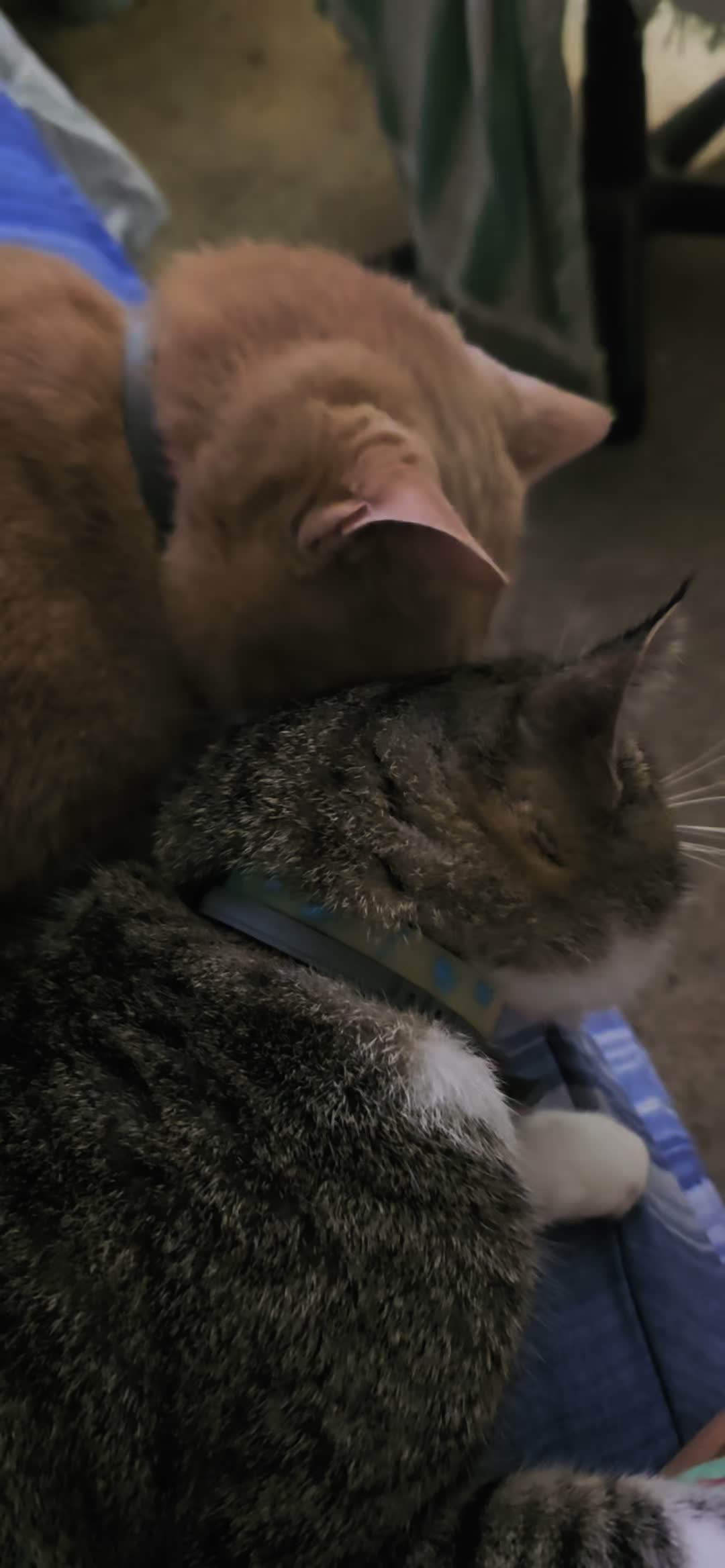@#simonandfriends