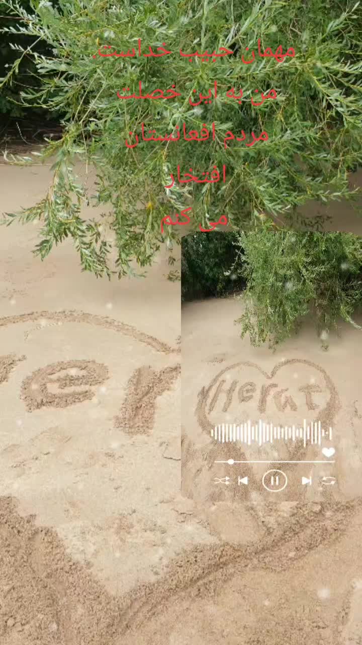 @شبهای تنهایی