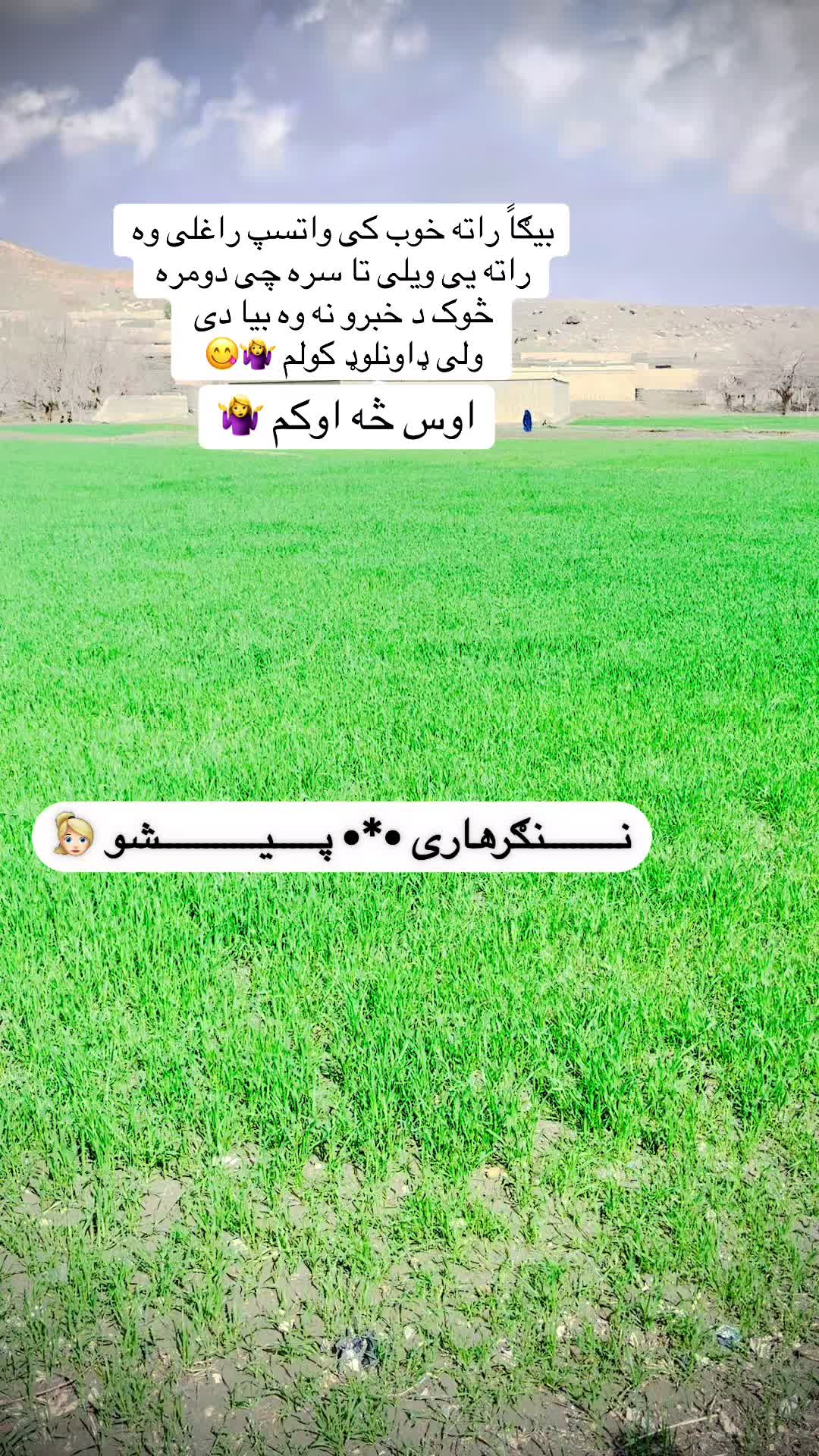 @ننګرهاری ☆♡☆ پیشو ☆♡☆