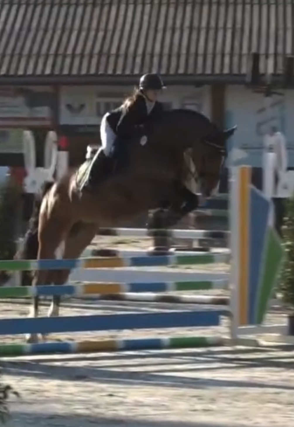 @La.Dolce.Horses