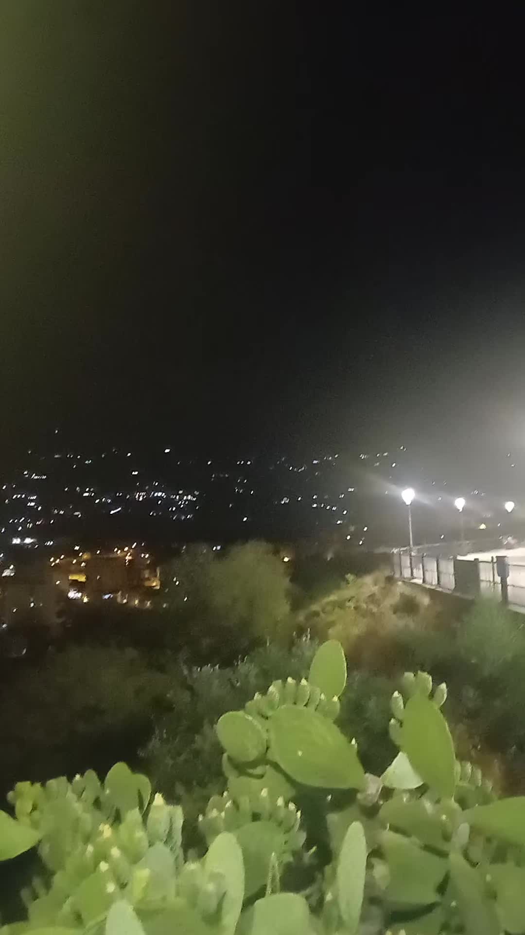 @luisapari74