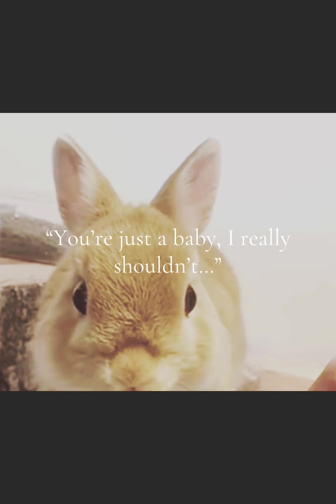 @littlepearlbunny