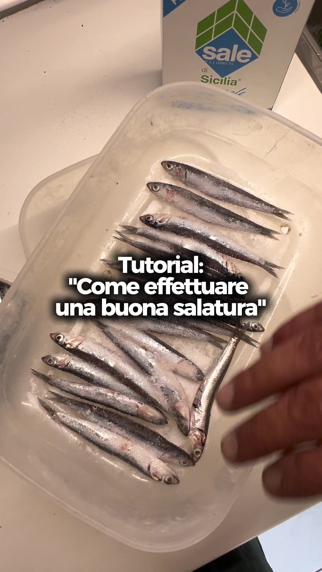 @Luca Meola