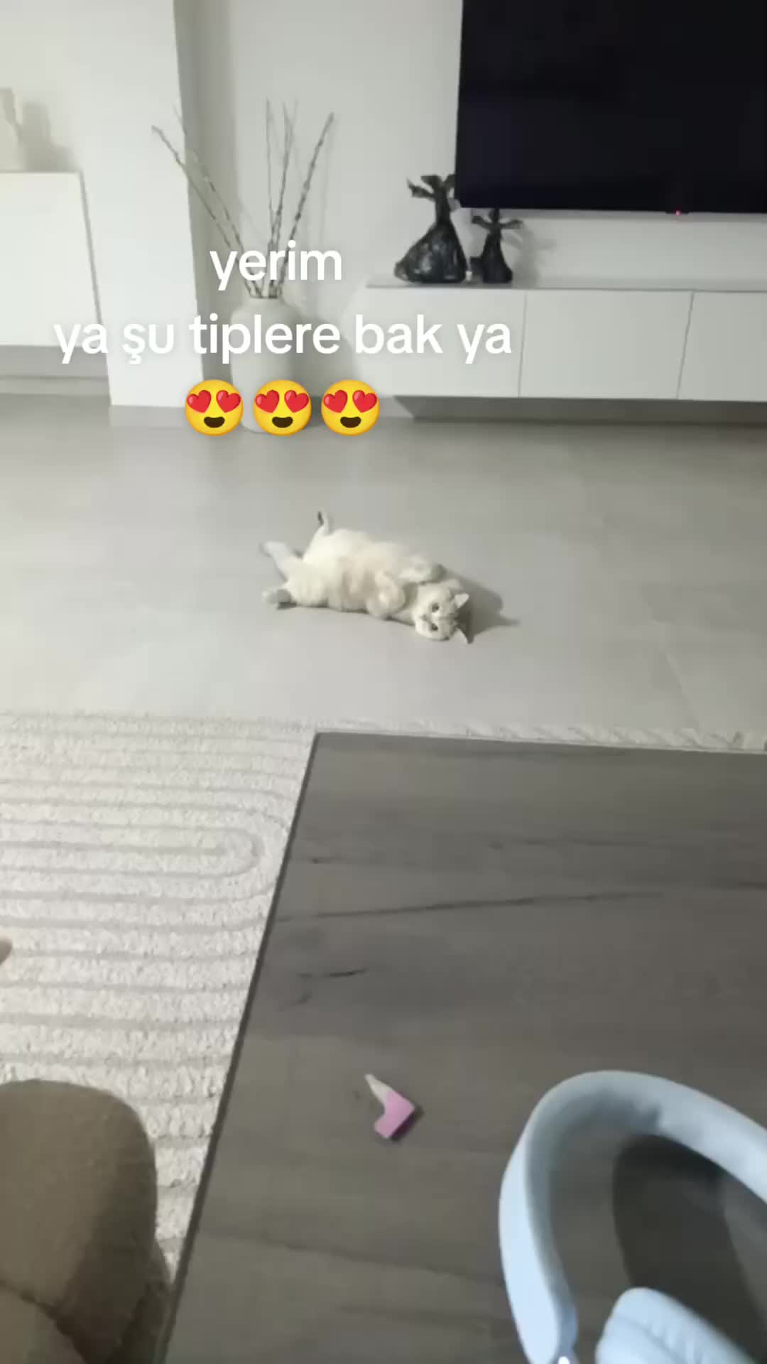 @🐺🇹🇷🅳🅰🅳🅰🆂🇹🇷🐺
