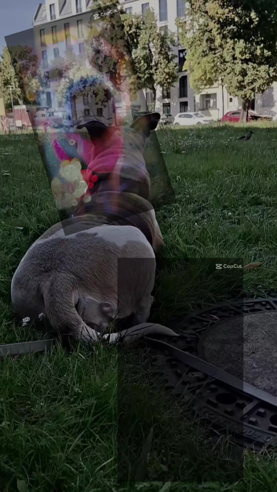 @deleted_user