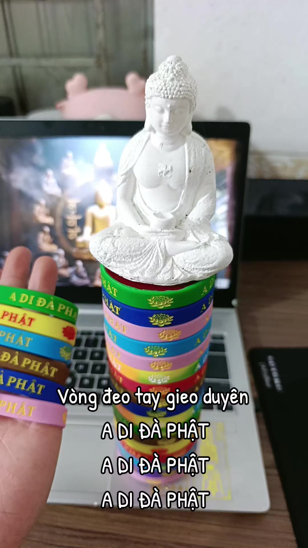 @THẦY TH&Iacute;CH MINH ĐẠT
