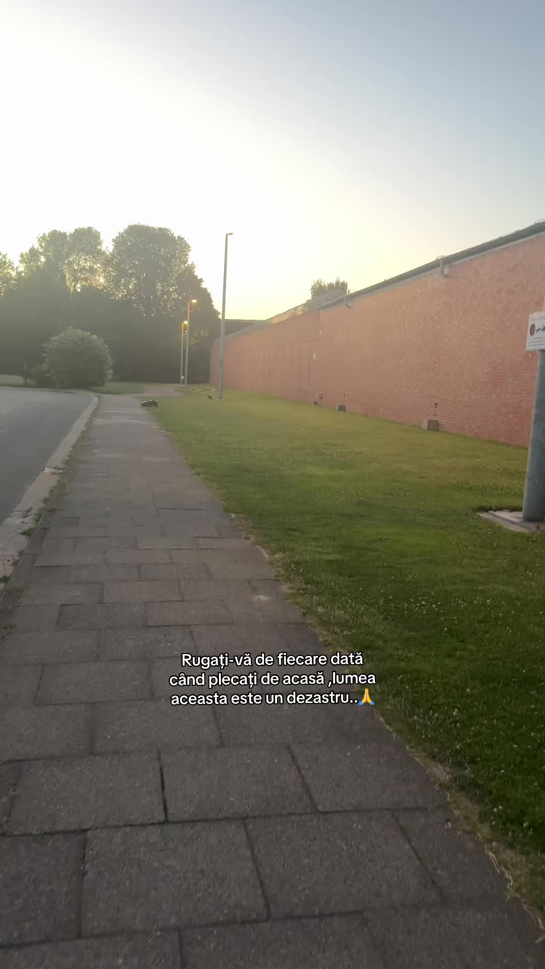 @Elena Popescu
