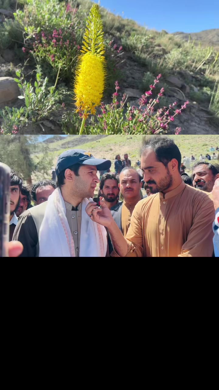 @dawood khan kakar