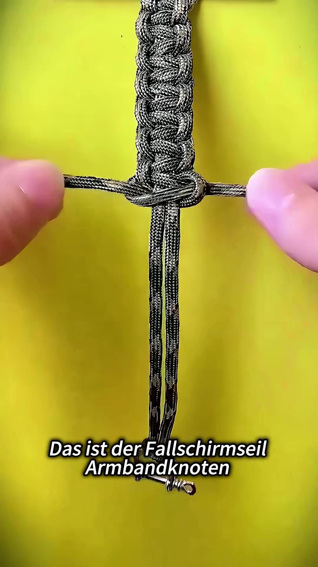 @ZuckerKino