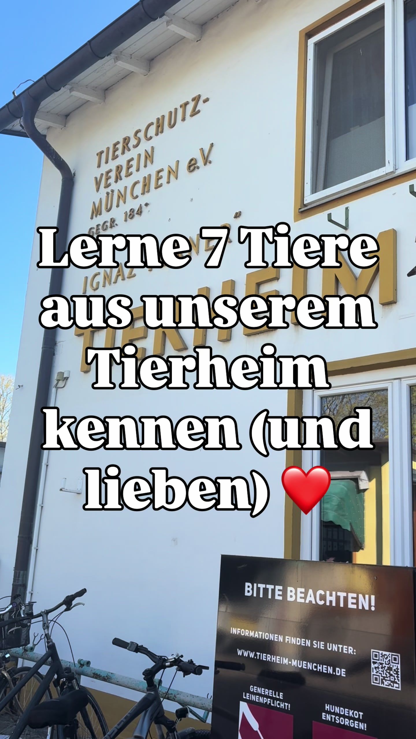 @TierschutzvereinM