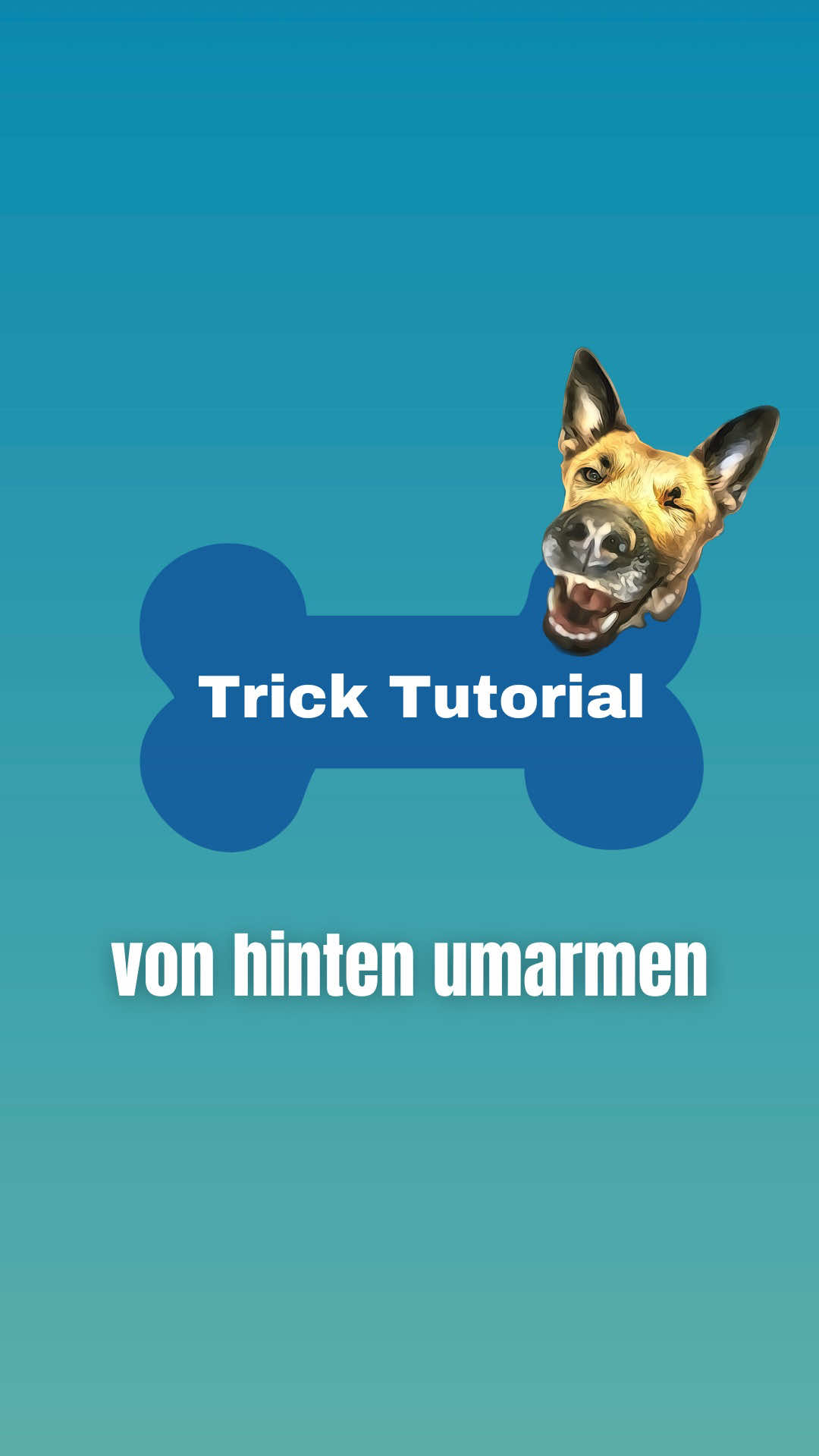@INSAbenteuerHund