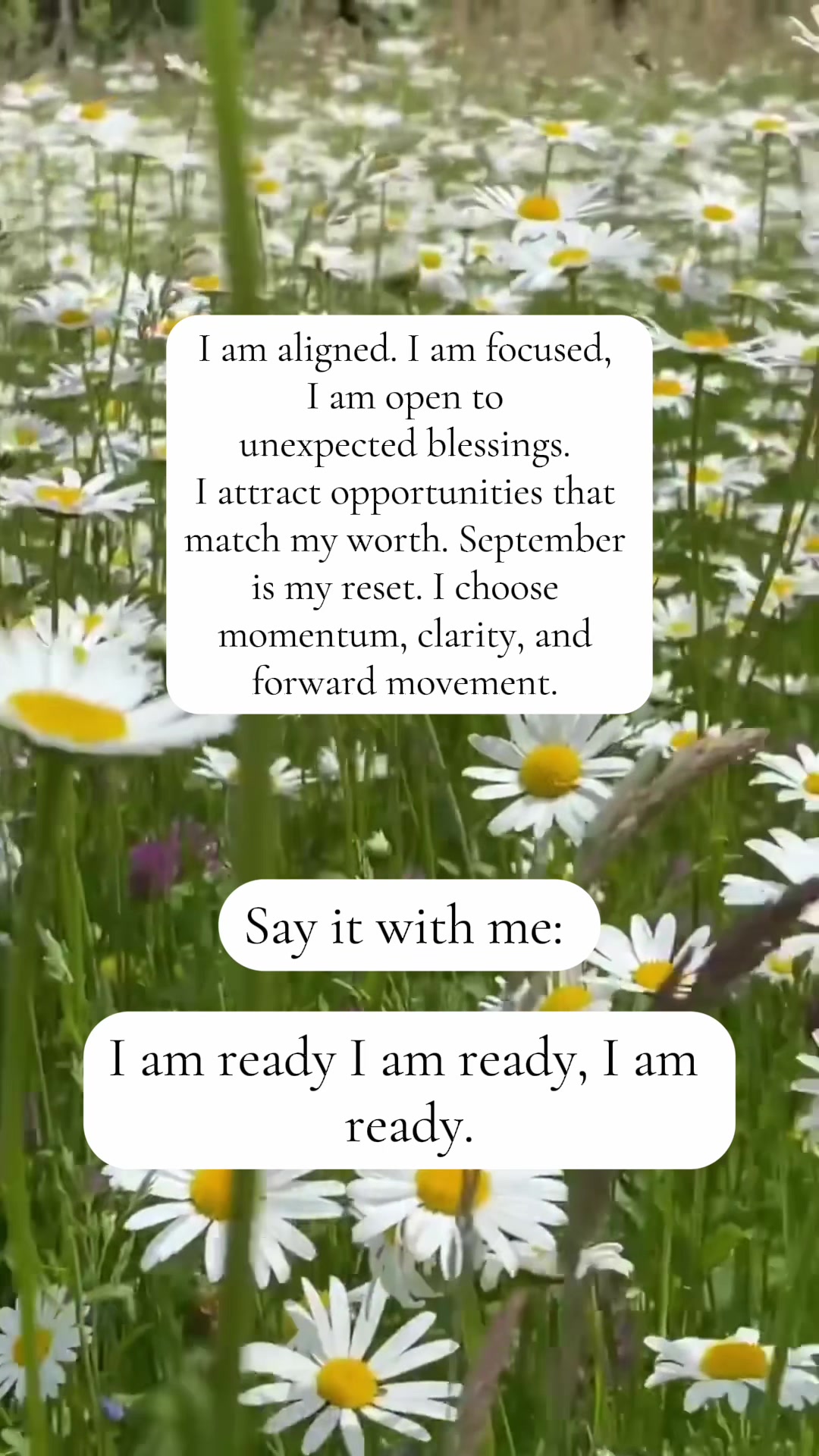 @AbundanceFlow*Manifestation