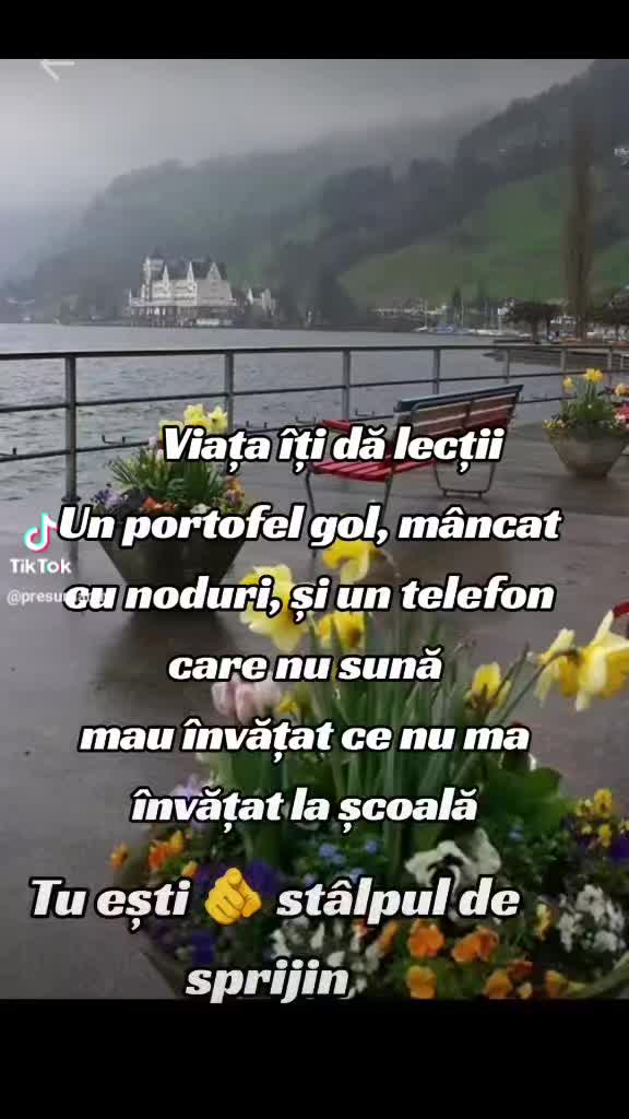 @singura a nimanui!