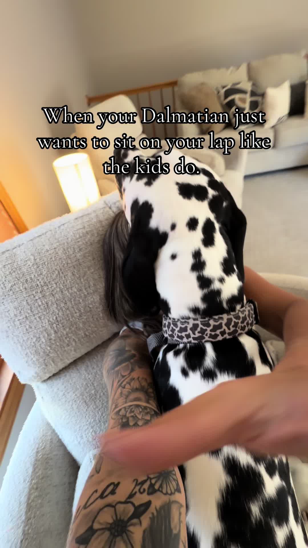 @Cannoli