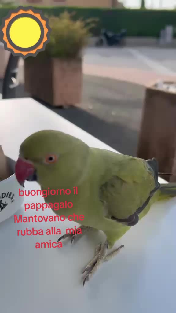 @♥°✧*Ş٥𝑙ԑ*✧♥°