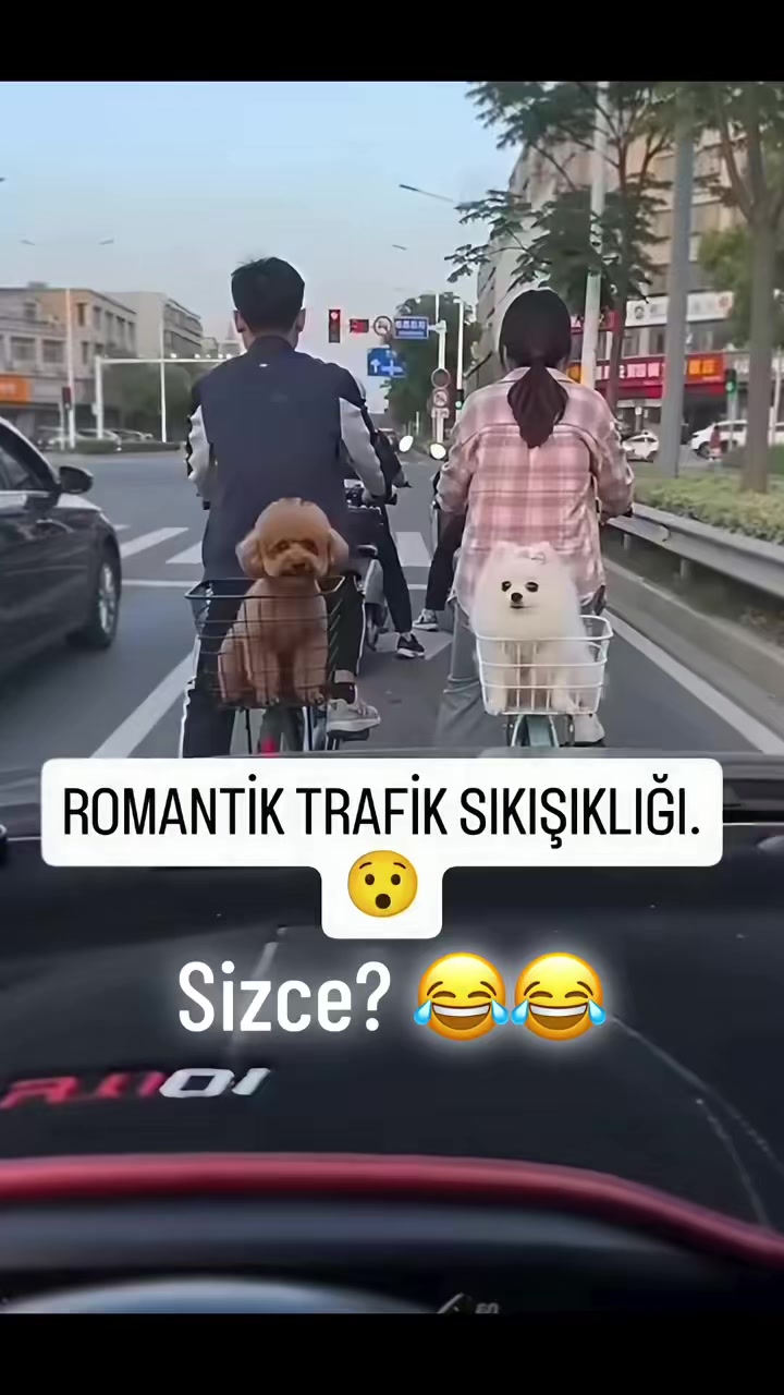 @tik.tok.magazin.