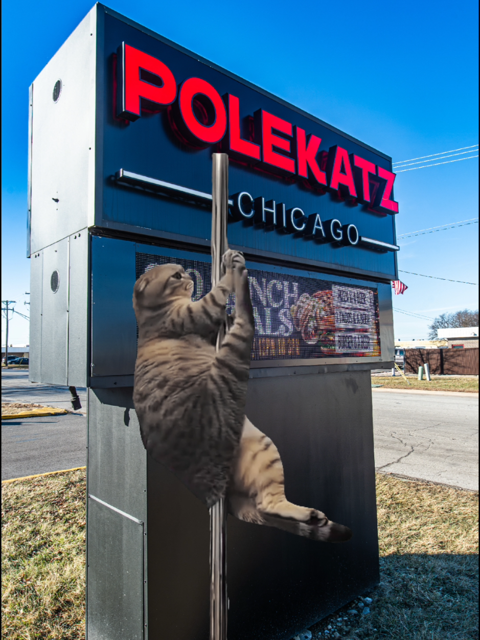 @POLEKATZ CHICAGO
