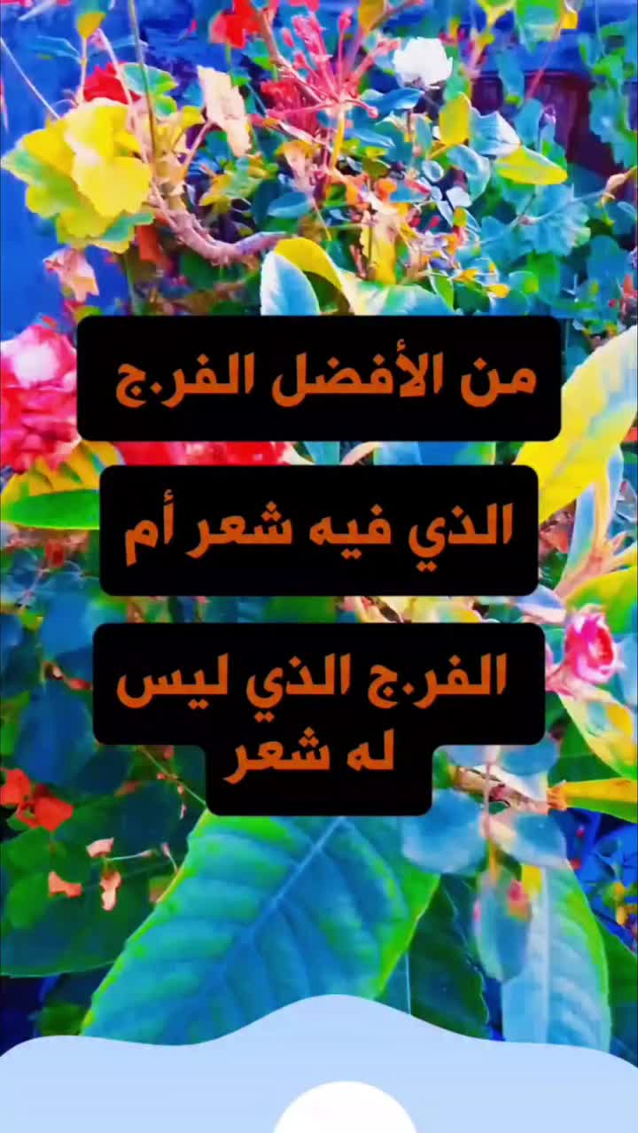 @ثقافة جنسية و زوجية