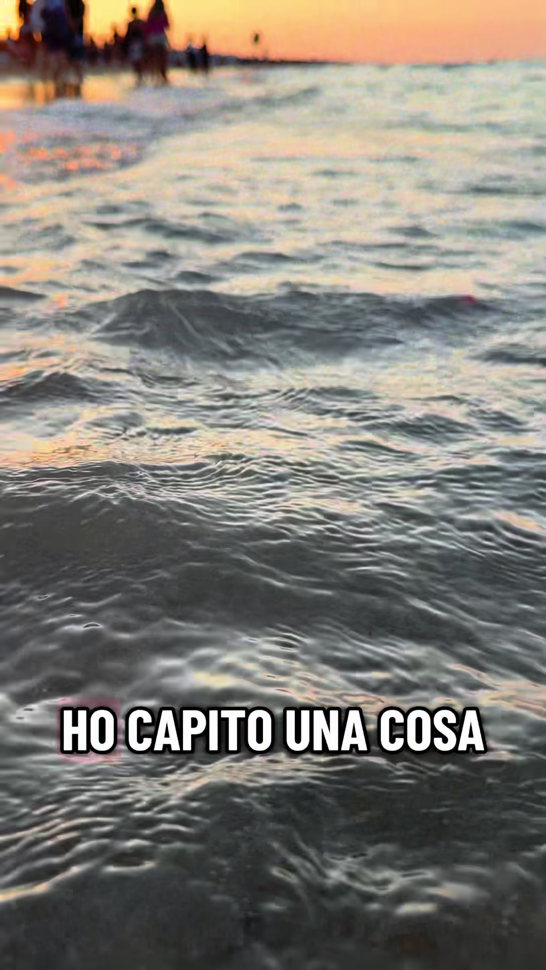 @Rita Infante