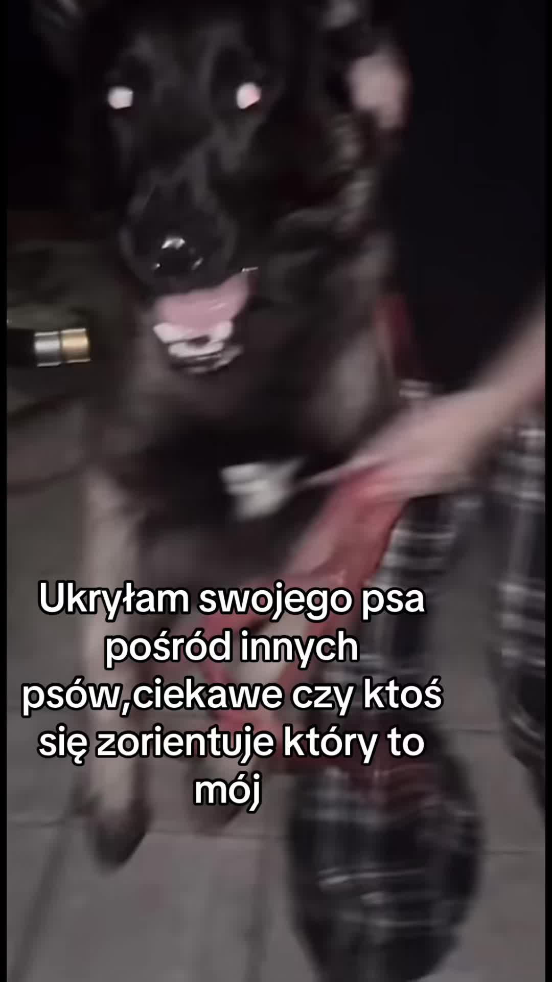 @โ๐ฉ๐๐๐๐๐&๐๐๐๐๐๐ชโ