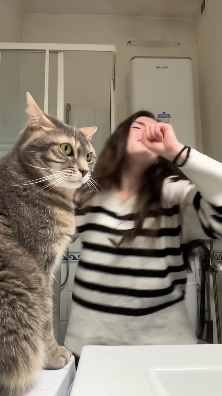 @Le_drama.cat 🇫🇷