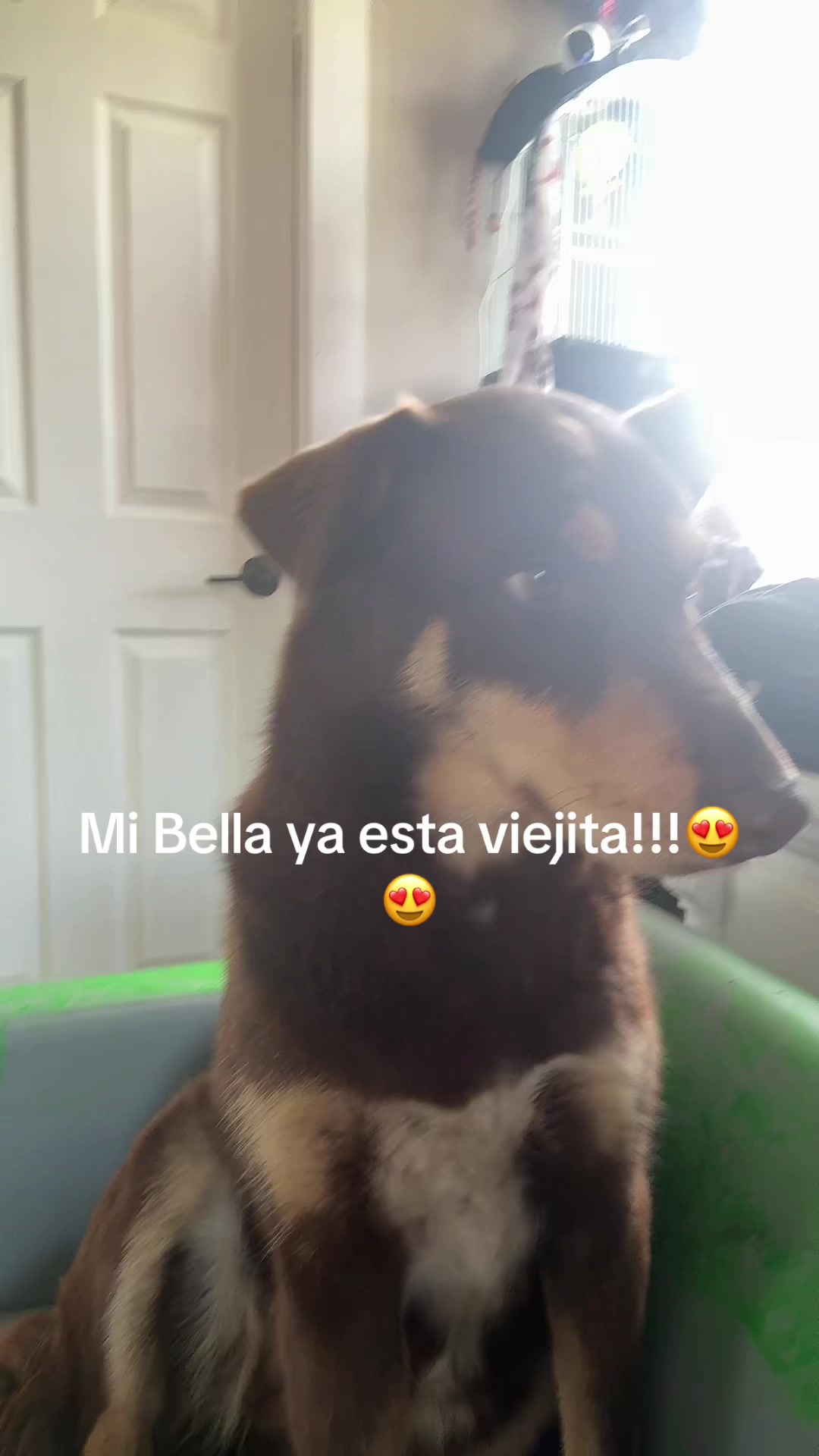 @Amada mía