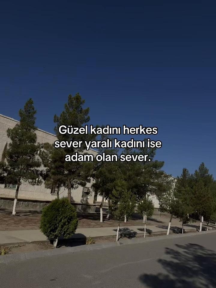 @kurban_off 