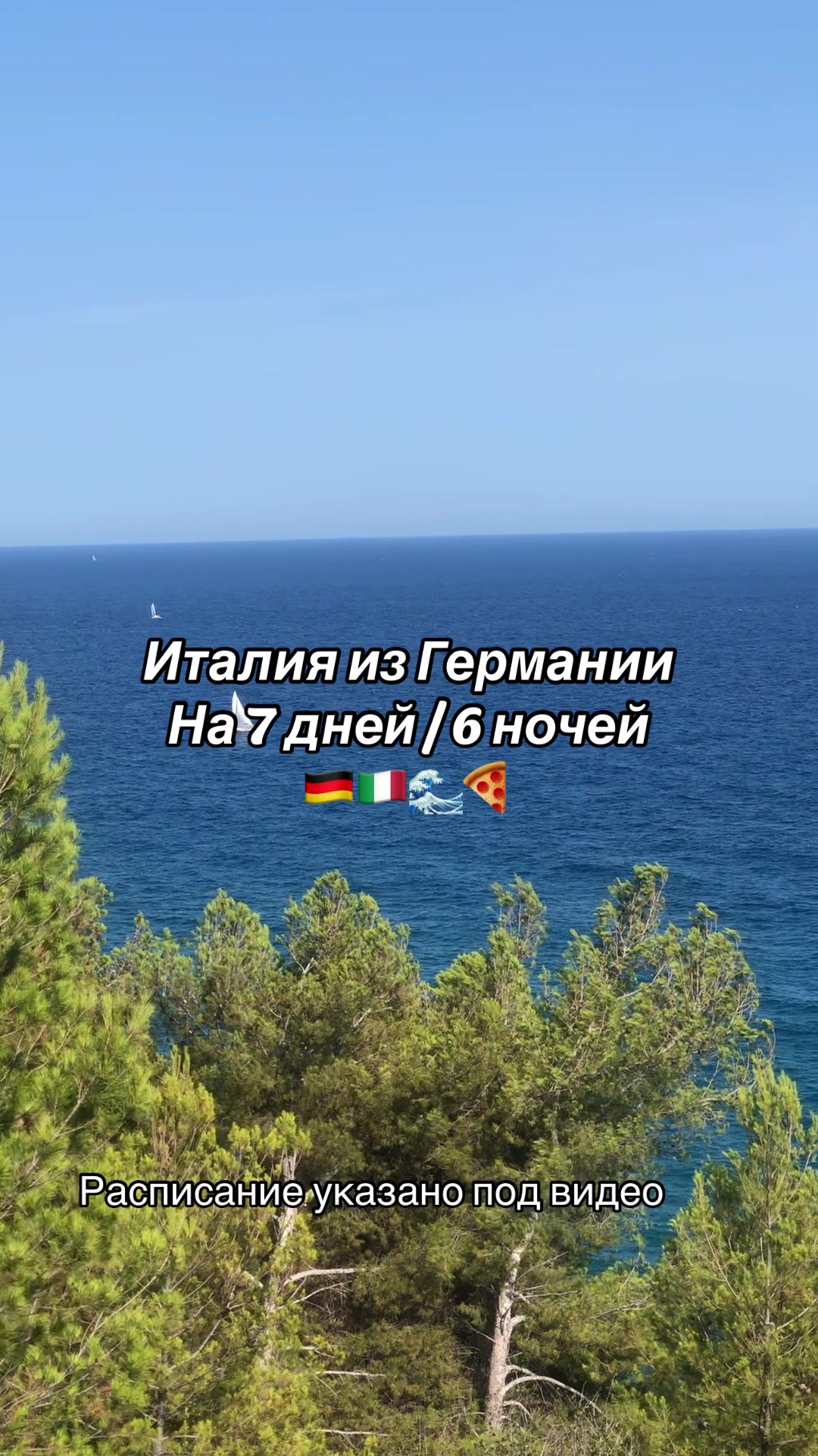@Mario Tours