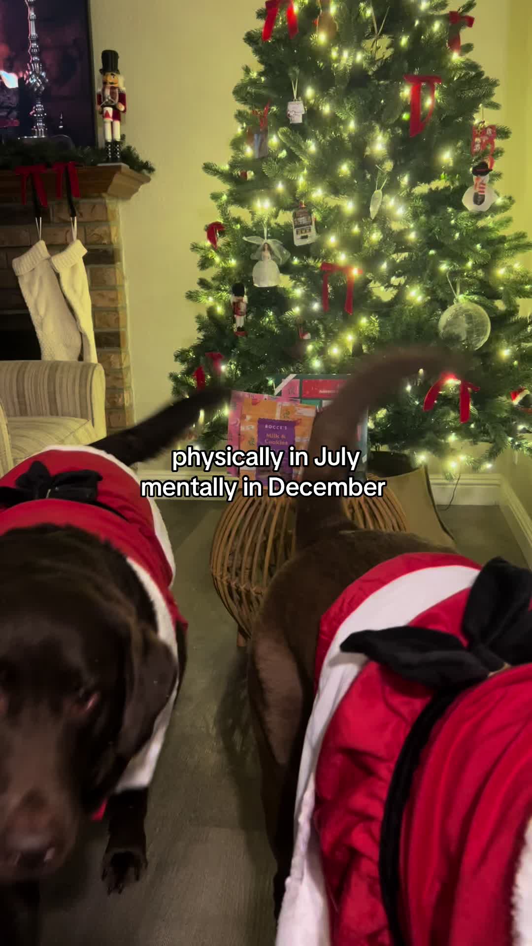 @The Chocolate Chonks 🤎