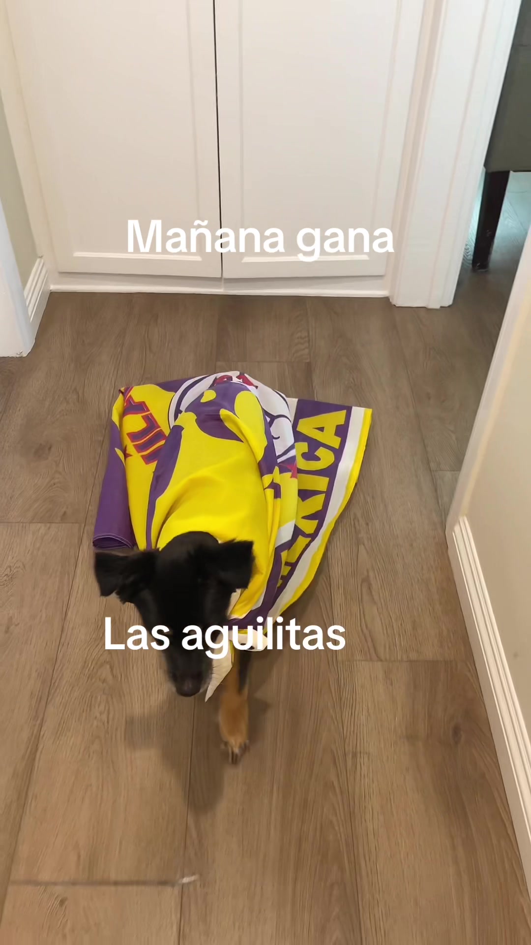 @Juanele