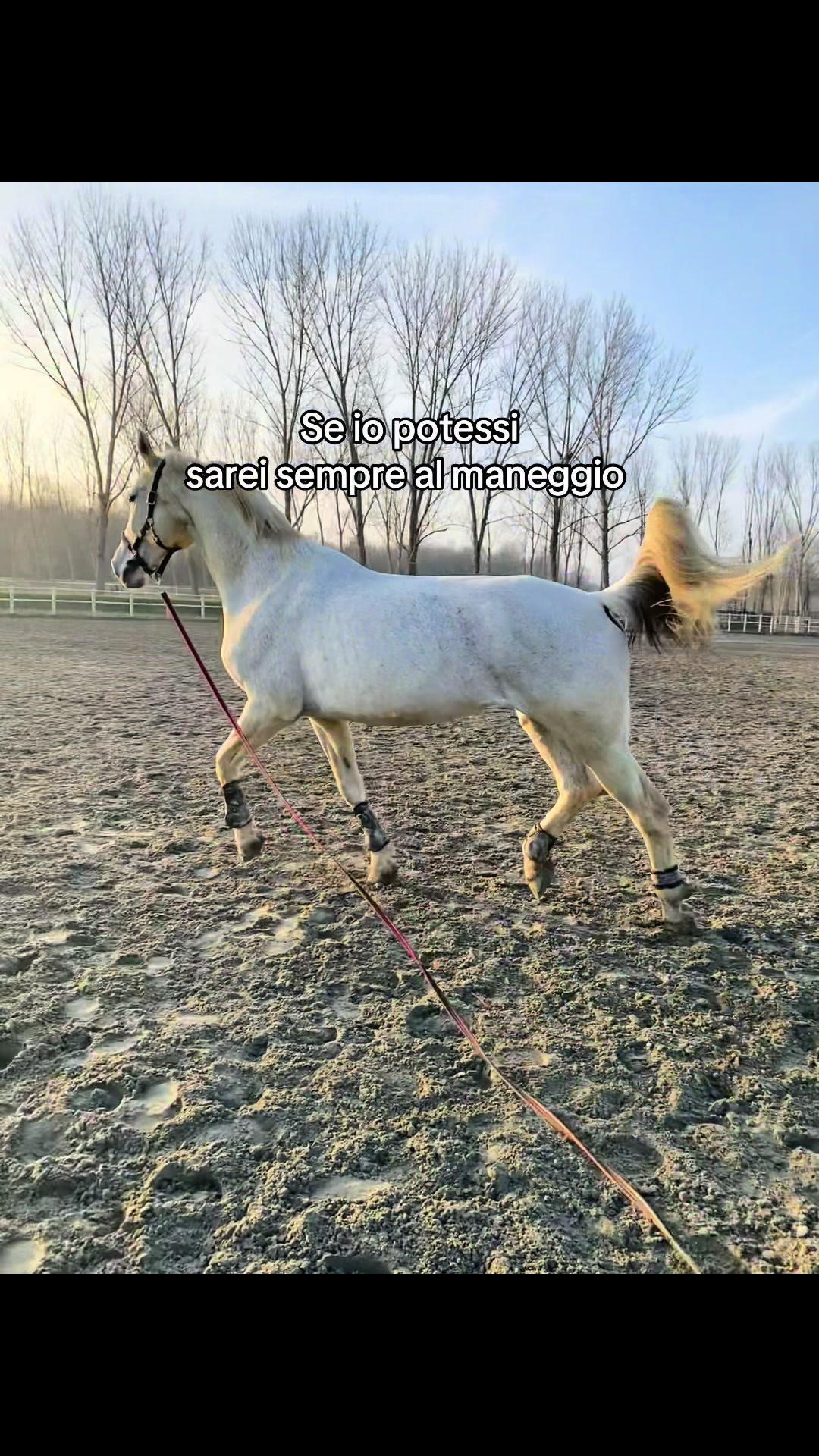 @Marta 🐴