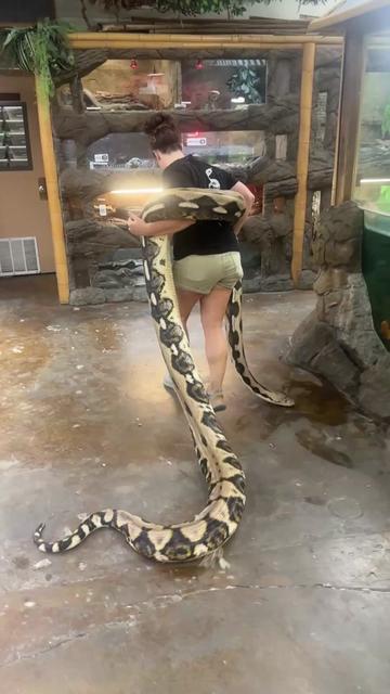 @The Reptile Zoo