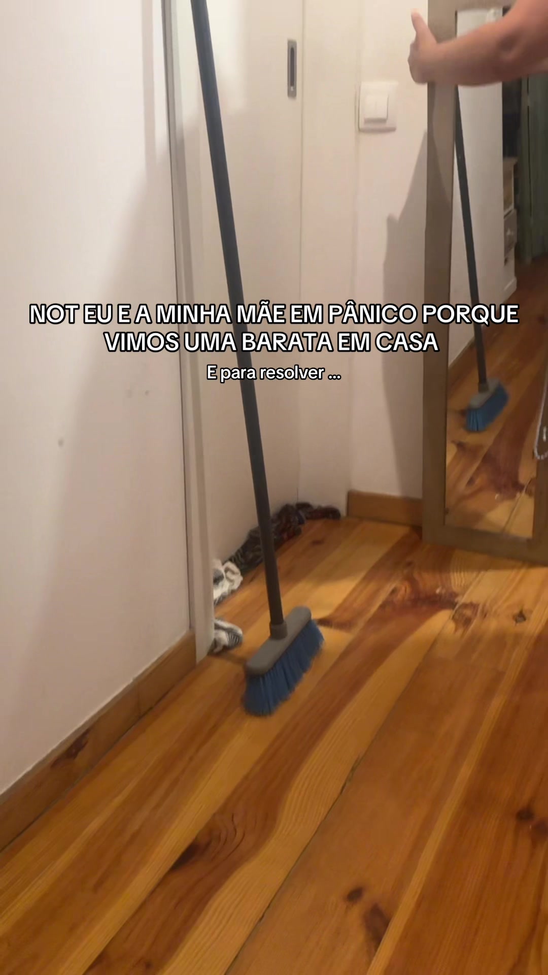 @Sophia Diegues