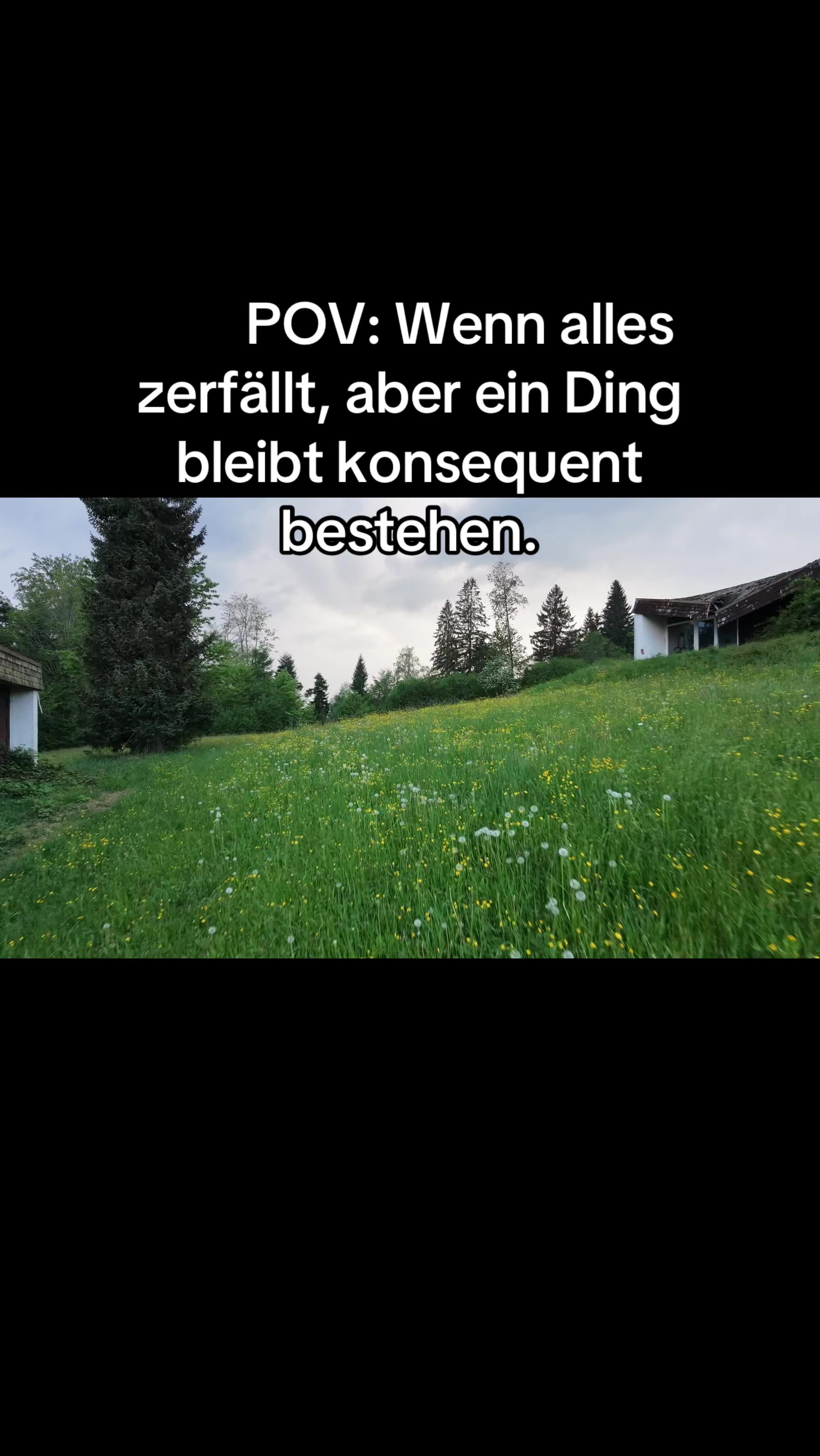 @Leni