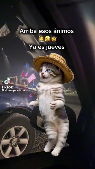 @Iris Dom&iacute;nguez