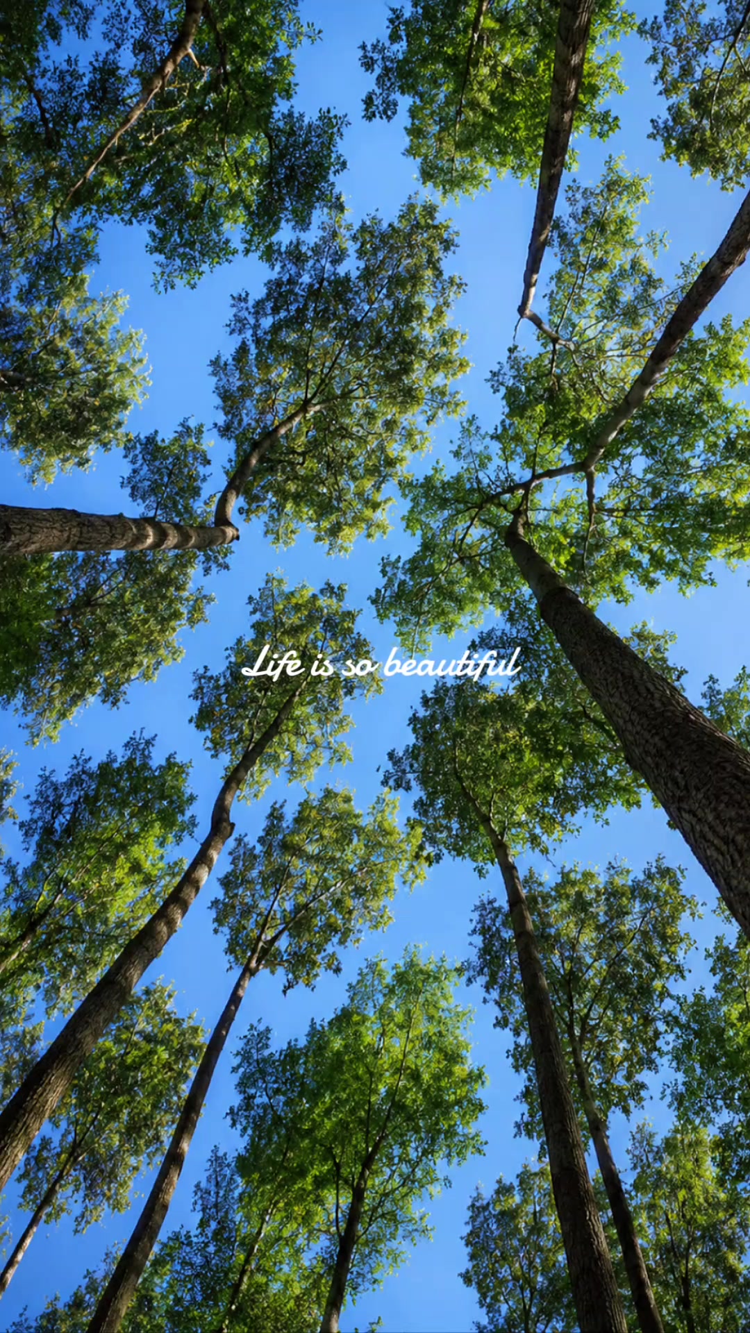 @Nature’s Calm