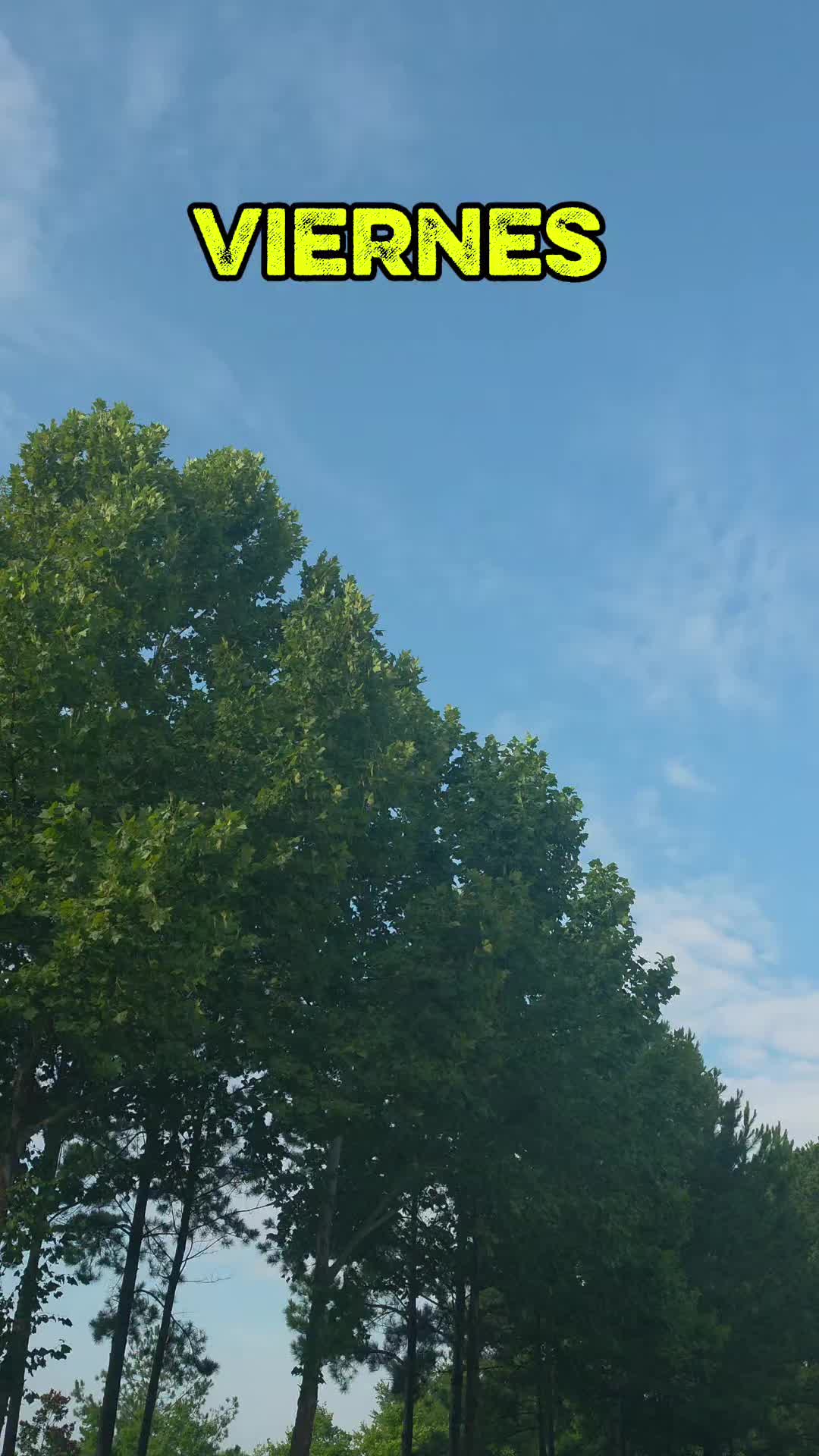 @doly.dfn