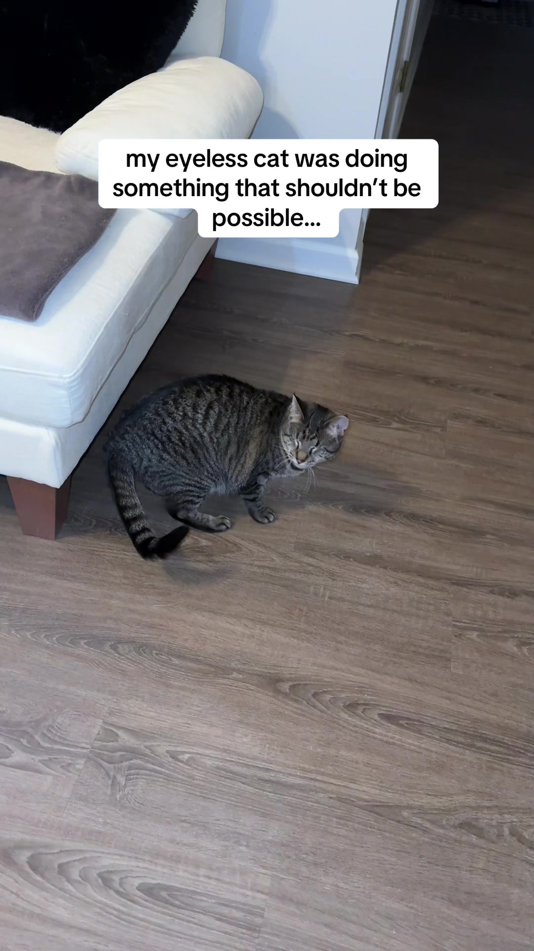 @𝘼𝙢𝙗𝙚𝙧 & 𝙎𝙩𝙚𝙫𝙞𝙚