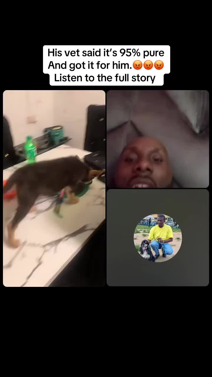 @Mothersheila_DogTv